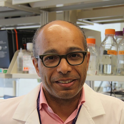 Dr. Bernard Thébaud